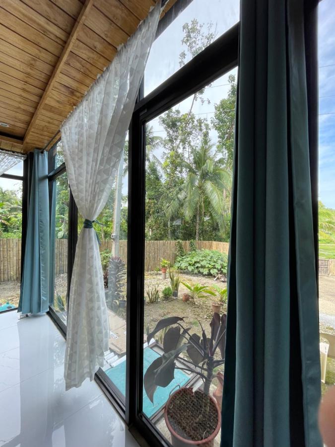 Casa Aguelo Chocolate Hills Bed and Breakfast Carmen  Buitenkant foto