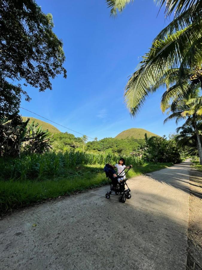Casa Aguelo Chocolate Hills Bed and Breakfast Carmen  Buitenkant foto