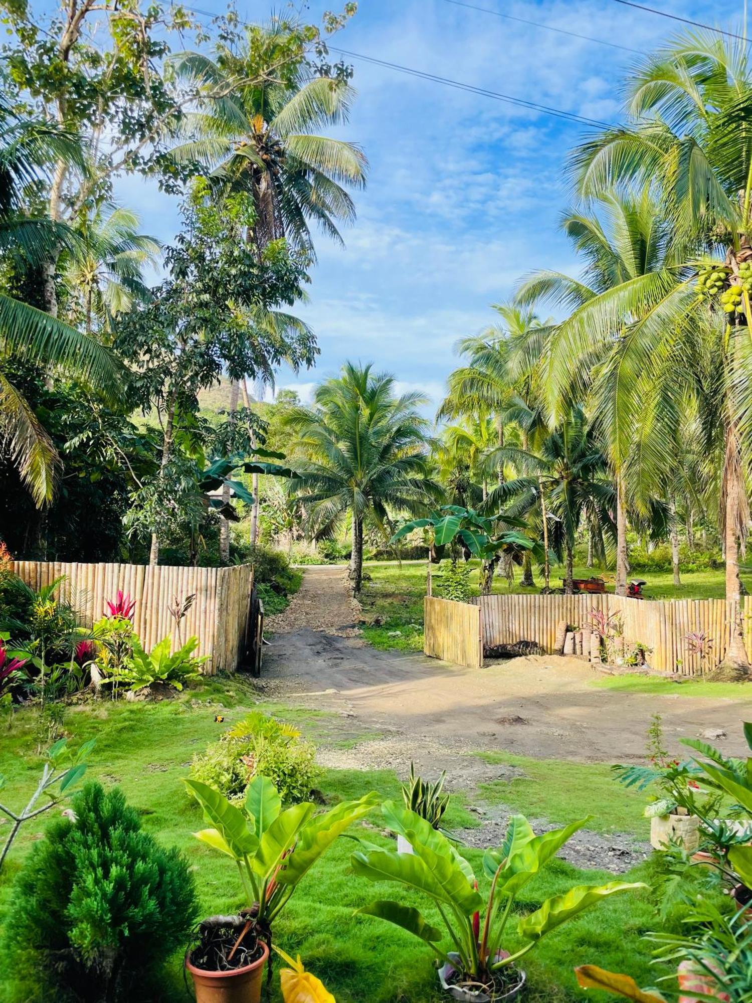 Casa Aguelo Chocolate Hills Bed and Breakfast Carmen  Buitenkant foto