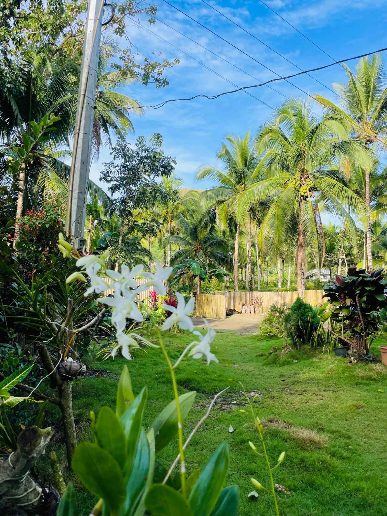 Casa Aguelo Chocolate Hills Bed and Breakfast Carmen  Buitenkant foto