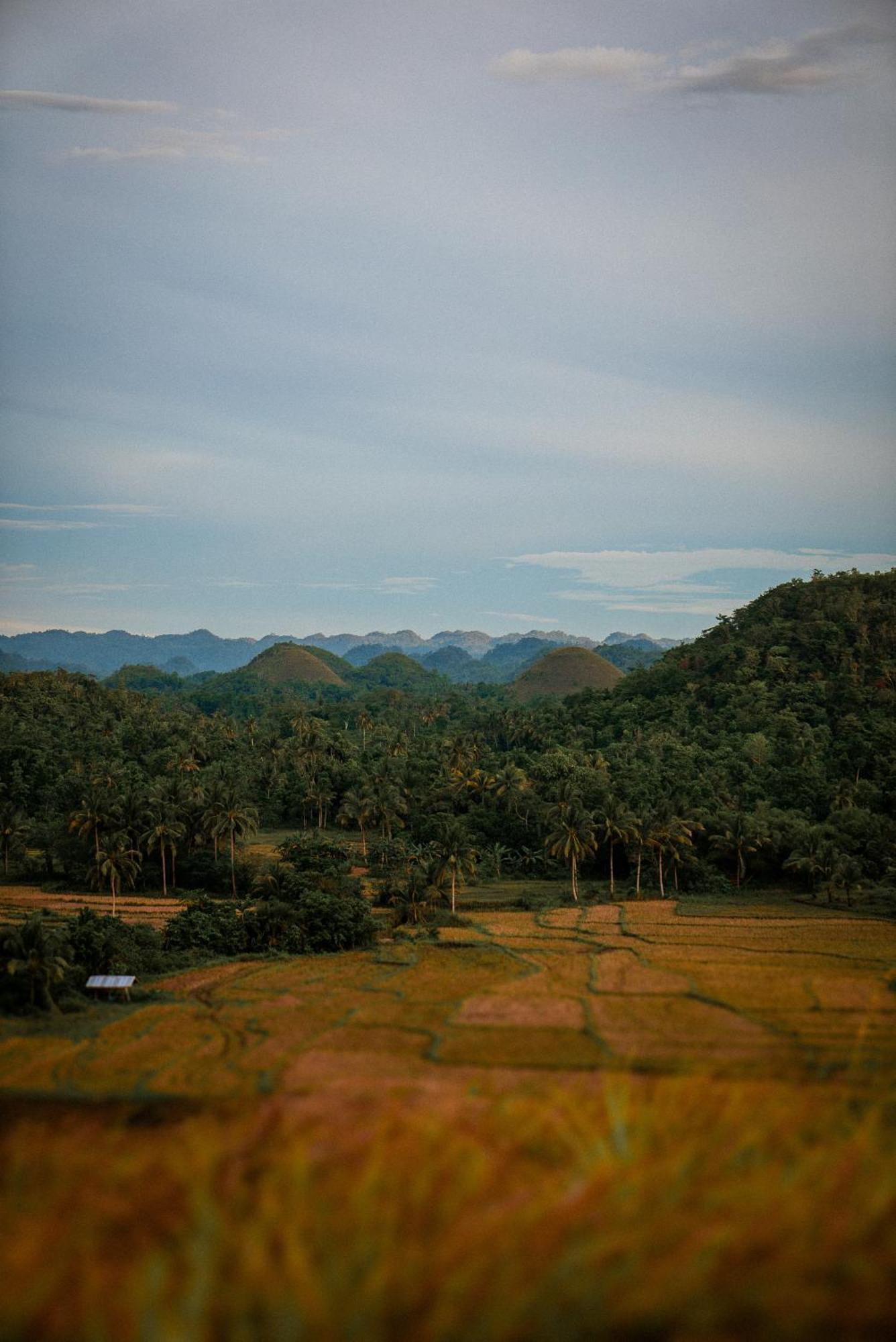 Casa Aguelo Chocolate Hills Bed and Breakfast Carmen  Buitenkant foto